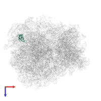 60S ribosomal protein L33-A in PDB entry 7rr5, assembly 1, top view.