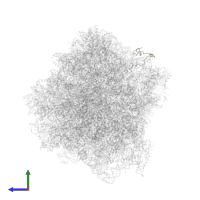 RPS31 isoform 1 in PDB entry 7rr5, assembly 1, side view.