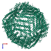 Ferritin heavy chain in PDB entry 7rrp, assembly 1, top view.