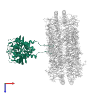 GTPase KRas in PDB entry 7rsc, assembly 1, top view.