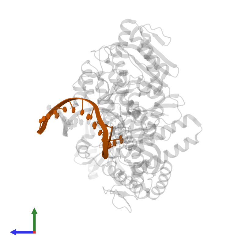 Template in PDB entry 7rsr, assembly 1, side view.