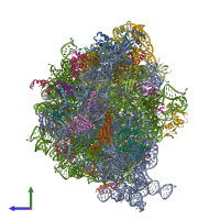 PDB entry 7ryg coloured by chain, side view.