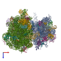 PDB entry 7ryg coloured by chain, top view.