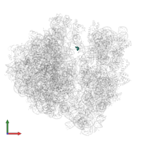 Modified residue 4SU in PDB entry 7ryg, assembly 1, front view.