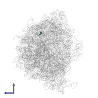 Modified residue 4SU in PDB entry 7ryg, assembly 1, side view.