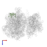 Large ribosomal subunit protein uL13 in PDB entry 7ryh, assembly 1, top view.