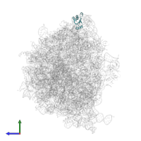 Large ribosomal subunit protein uL18 in PDB entry 7ryh, assembly 1, side view.