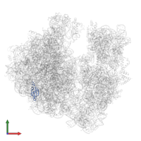 Large ribosomal subunit protein uL23 in PDB entry 7ryh, assembly 1, front view.