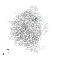 50S ribosomal protein L30 in PDB entry 7ryh, assembly 1, side view.