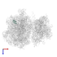 50S ribosomal protein L30 in PDB entry 7ryh, assembly 1, top view.