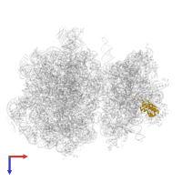 Small ribosomal subunit protein uS9 in PDB entry 7ryh, assembly 1, top view.