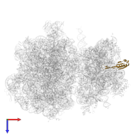 30S ribosomal protein S10 in PDB entry 7ryh, assembly 1, top view.