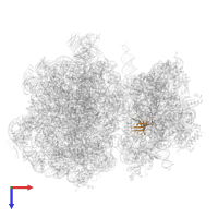 Small ribosomal subunit protein uS17 in PDB entry 7ryh, assembly 1, top view.