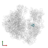 30S ribosomal protein S18 in PDB entry 7ryh, assembly 1, front view.