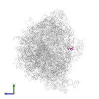 Large ribosomal subunit protein bL36 in PDB entry 7ryh, assembly 1, side view.