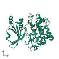 PDB entry 7s48 coloured by chain, front view.