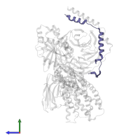 Guanine nucleotide-binding protein G(I)/G(S)/G(O) subunit gamma-2 in PDB entry 7s8p, assembly 1, side view.