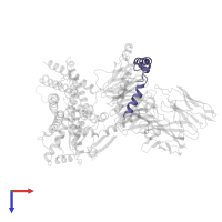 Guanine nucleotide-binding protein G(I)/G(S)/G(O) subunit gamma-2 in PDB entry 7s8p, assembly 1, top view.