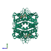 Homo tetrameric assembly 1 of PDB entry 7san coloured by chemically distinct molecules, side view.