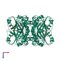 Homo tetrameric assembly 1 of PDB entry 7san coloured by chemically distinct molecules, top view.