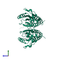 Hypoxanthine-guanine phosphoribosyltransferase in PDB entry 7sb7, assembly 1, side view.
