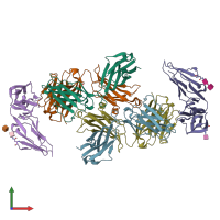 PDB entry 7seg coloured by chain, front view.