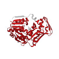 The deposited structure of PDB entry 7sex contains 1 copy of Pfam domain PF10017 (Histidine-specific methyltransferase, SAM-dependent) in Histidine N-alpha-methyltransferase. Showing 1 copy in chain A.
