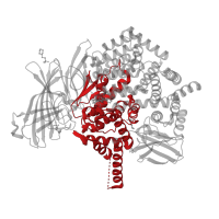 The deposited structure of PDB entry 7sh0 contains 2 copies of Pfam domain PF01433 (Peptidase family M1 domain) in Endoplasmic reticulum aminopeptidase 2. Showing 1 copy in chain A.