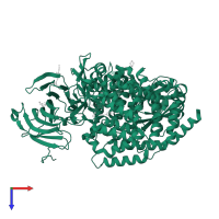 Endoplasmic reticulum aminopeptidase 2 in PDB entry 7sh0, assembly 1, top view.