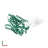 Sodium/glucose cotransporter 1 in PDB entry 7sl8, assembly 1, front view.