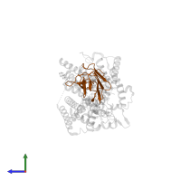 nanobody Nb1 in PDB entry 7sl8, assembly 1, side view.