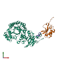PDB entry 7smk coloured by chain, front view.