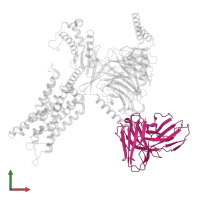 single-chain variable fragment 16 (scFv16) in PDB entry 7srr, assembly 1, front view.