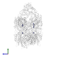 ZINC ION in PDB entry 7srv, assembly 1, side view.