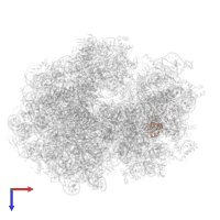 30S ribosomal protein S16 in PDB entry 7ssl, assembly 1, top view.