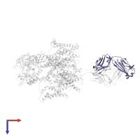 Fab-ShK fusion, light chain in PDB entry 7ssv, assembly 1, top view.