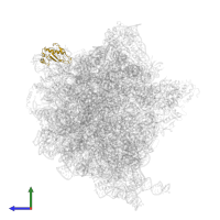 Large ribosomal subunit protein uL1 in PDB entry 7st2, assembly 1, side view.