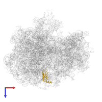 Large ribosomal subunit protein uL1 in PDB entry 7st2, assembly 1, top view.