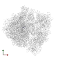 Large ribosomal subunit protein bL36A in PDB entry 7st2, assembly 1, front view.