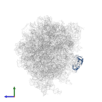 Large ribosomal subunit protein uL11 in PDB entry 7st7, assembly 1, side view.