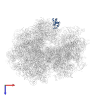 Large ribosomal subunit protein uL11 in PDB entry 7st7, assembly 1, top view.
