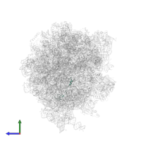 Large ribosomal subunit protein bL32 in PDB entry 7st7, assembly 1, side view.