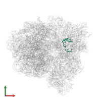 Messenger RNA in PDB entry 7st7, assembly 1, front view.