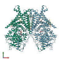 PDB entry 7stm coloured by chain, front view.