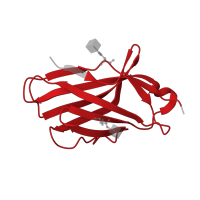 The deposited structure of PDB entry 7su0 contains 2 copies of Pfam domain PF07686 (Immunoglobulin V-set domain) in Cytotoxic T-lymphocyte protein 4. Showing 1 copy in chain A [auth C].