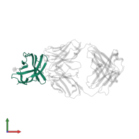 Cytotoxic T-lymphocyte protein 4 in PDB entry 7su0, assembly 2, front view.