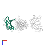 Cytotoxic T-lymphocyte protein 4 in PDB entry 7su0, assembly 2, top view.