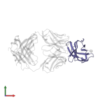 Cytotoxic T-lymphocyte protein 4 in PDB entry 7su1, assembly 1, front view.