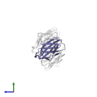 Cytotoxic T-lymphocyte protein 4 in PDB entry 7su1, assembly 1, side view.