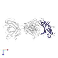 Cytotoxic T-lymphocyte protein 4 in PDB entry 7su1, assembly 1, top view.